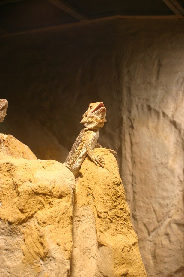 2011040701543518_k-Zoo & Jana 067.jpg